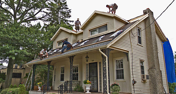 Best Flat Roof Repair Services  in Man, WV