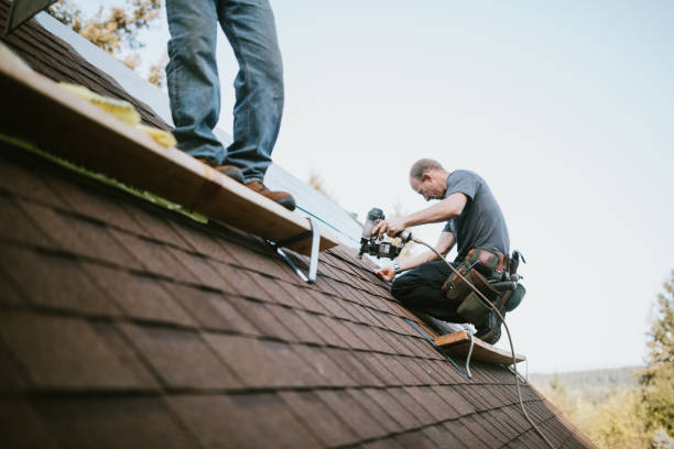 Best Roof Restoration Services  in Man, WV